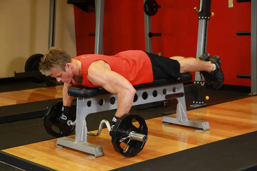 Bench-Pinned Iron Row