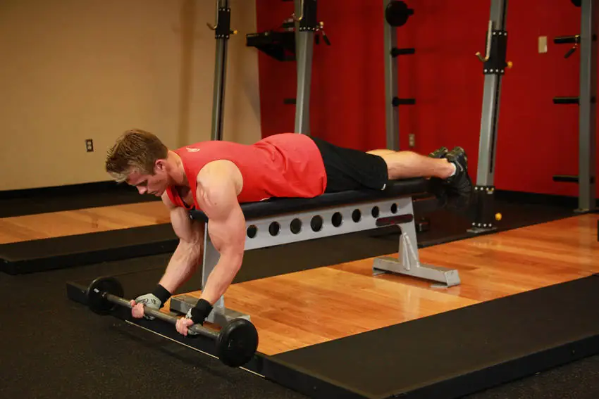 The Elevated Bench Iron Curl: Prone-Angle Arm Blaze