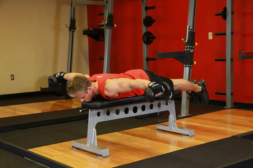 The Face-Plank Wing Back: Horizontal Reverse Shoulder Sculptor