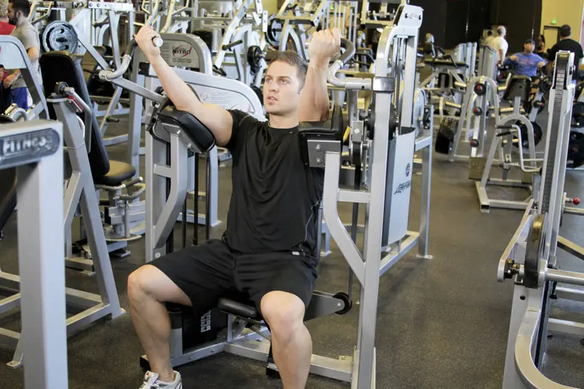 The Mechanical Arm Flex: Seated Bicep Piston Station