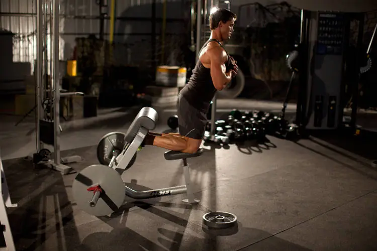 The Pad-Supported Hamstring Halo