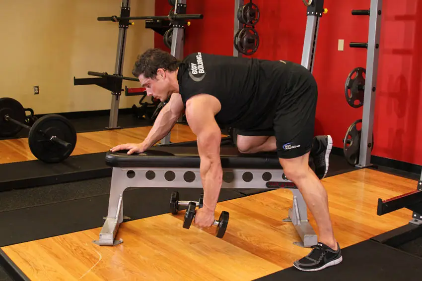 The Bench-Hinged Back Sculptor — Unilateral Dumbbell Pull
