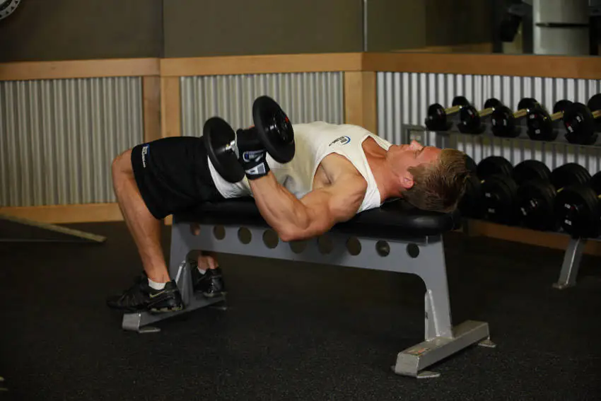 Solo Horizontal Plank Iron Wing-Spread (Pecs - Iron Novice)